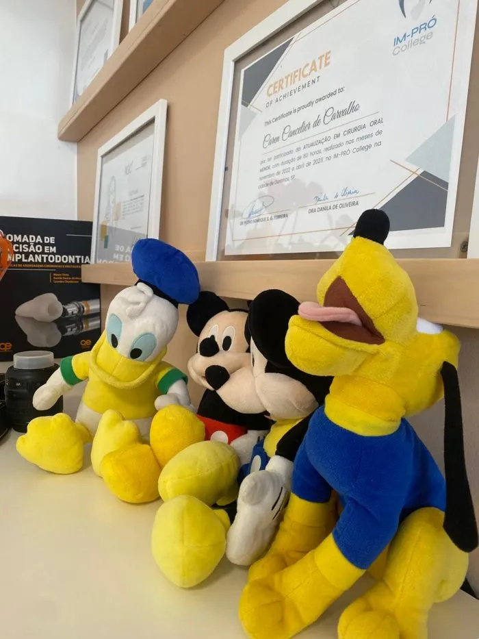 Bichos de pelúcia na estante do consultório